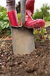 Woman wearing rubber boots using shovel in her garden
