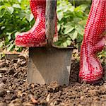 Woman wearing red rubber boots using shovel in her garden