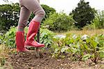 Woman wearing jeans and red rubber boots in her garden working with a shovel
