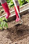 Woman wearing red rubber boots working with a hoe in the garden