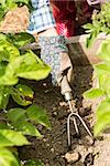 Woman working with a trowel in the garden