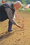 Farmer inspecting soil