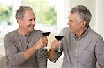 Senior men toasting wine glasses