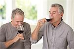 Senior men drinking wine together