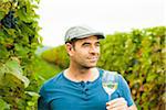 Close-up of vintner standing in vineyard, holding glass of wine and examining quality, Rhineland-Palatinate, Germany