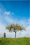 Farmer standing in field, inspecting apple tree, Germany