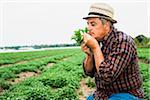 Close-up of farmer in field, holding and smelling leaves from crop, Germany