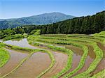 Mt. Hyono And Terrace, Hyogo, Japan