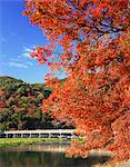 Arashiyama, Kyoto, Japan