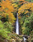 Yoro Falls, Gifu, Japan