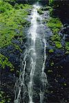 Saisuke Falls, Wakayama, Japan