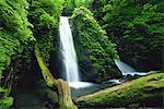 On Falls, Yamanashi, Japan