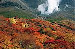 Mt. Chausu, Tochigi, Japan