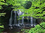 Tatsuzawafudo Falls, Fukushima, Japan