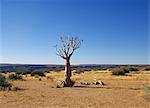 Fish River Canyon National Park, Namibia