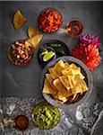 Variety of salsas, condiments and tortilla chips, Mexican Fiesta, studio shot