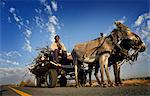 Man on donkey cart on tar road