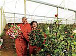 Green Finger Roses, Bloemfontein, Free State