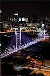 Nelson Mandela Bridge, Johannesburg