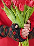 Hands holding red tulips