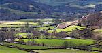 Trees and pastures in rural landscape