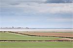 Rural pastures with ocean in background