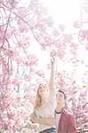 Man lifting girlfriend to reach pink flowers on tree