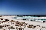 Waves rolling up on sandy beach