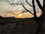 Sunset scene behind a tree in the valley