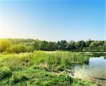 Silent river at dawn in the summer