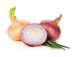 Fresh ripe onion. Isolated on white background