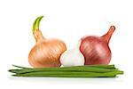 Fresh ripe onion and garlic. Isolated on white background