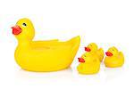 Rubber duck family. Isolated on white background