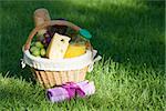 Outdoor picnic basket with bread, cheese and grape on green lawn