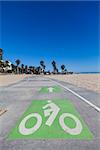 Santa Monica beach - Los Angeles. A bicycle path for active people