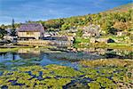 Gacka river spring, colorful nature at the source in Lika region, croatia