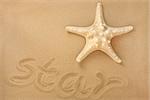 Starfish seashell on sand with star word.