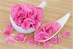 Rose flower petals used in chinese and natural alternative herbal medicine. Rosa chinensis.