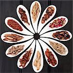 Chinese herbal medicine selection in white porcelain dishes.