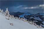 a beautiful snowstorm in Piatra Craiului Mountains, Romania