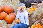 little boy having fun at pumpkin patch