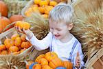 little boy at the pumpkin patch