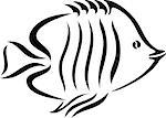 A black and white illustration of a fish