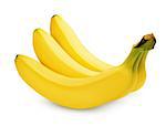 Three ripe bananas isolated on white background with clipping path