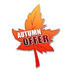 autumn offer - text in 3d orange leaf