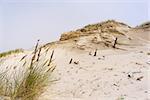 Dunes in foggy weather at Slowinski national park in Leba, Poland.