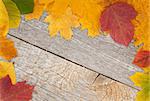 Autumn leaves on wood texture background