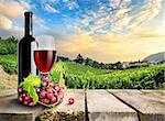Wine with grape on a background of vineyard