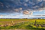 fence on beautiful Dutch farmland before sunset, Groningen, Netherlands