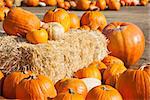 Fresh Orange Pumpkins and Hay in a Rustic Outdoor Fall Setting.